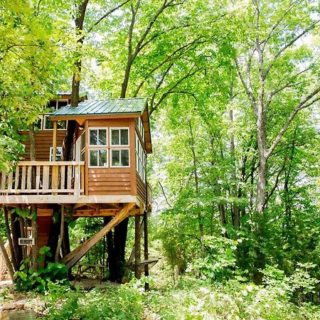 The Cottage Treehouses Херман Екстериор снимка
